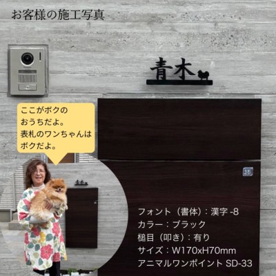 表札GHO-AL-JPLINE-SOGO「日本語ライン付きシリーズ」アルミ表札